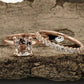 14k Rose Gold Morganite Cushion Wedding Set, Cushion Morganite Engagement Ring, Morganite Wedding Set, Morganite Engagement Ring, Diamond Ring